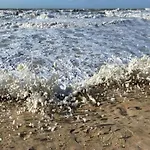 In Near & Napoleon *