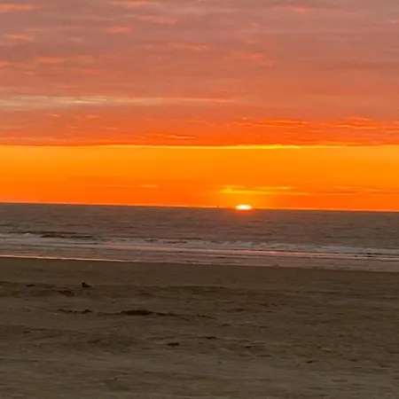 In Near & Napoleon * 奥斯滕德