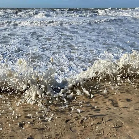 In Near & Napoleon *